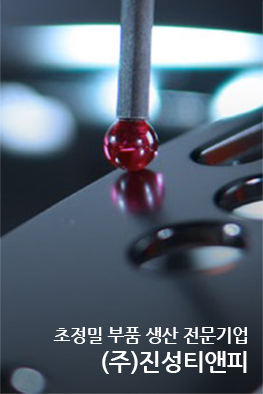 (주)진성티앤피